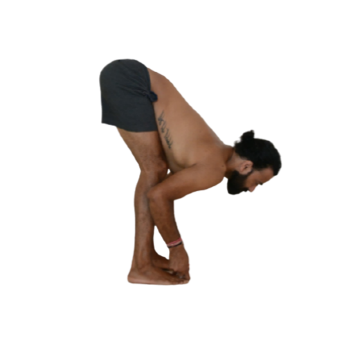 Padangusthasana  Big Toe Pose - Devvrat Yoga Sangha