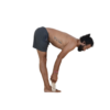 Ardha Uttanasana | Standing Half Forward Fold - Devvrat Yoga Sangha