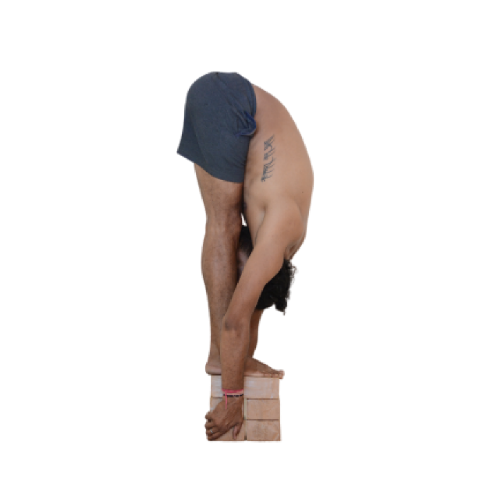 Uttanasana  Standing Forward Bend - Devvrat Yoga Sangha