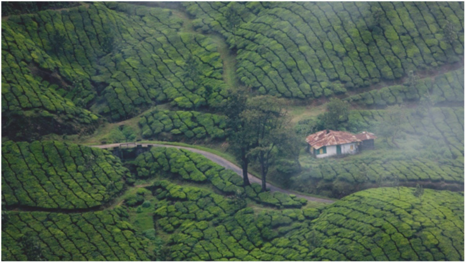 16-Essential-Things-to-Know-Before-Traveling-to-Kerala (1500 x 848)