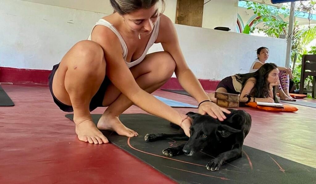 student-bonding-with-ashram-dog-devvrat-yoga-sangha-kerala