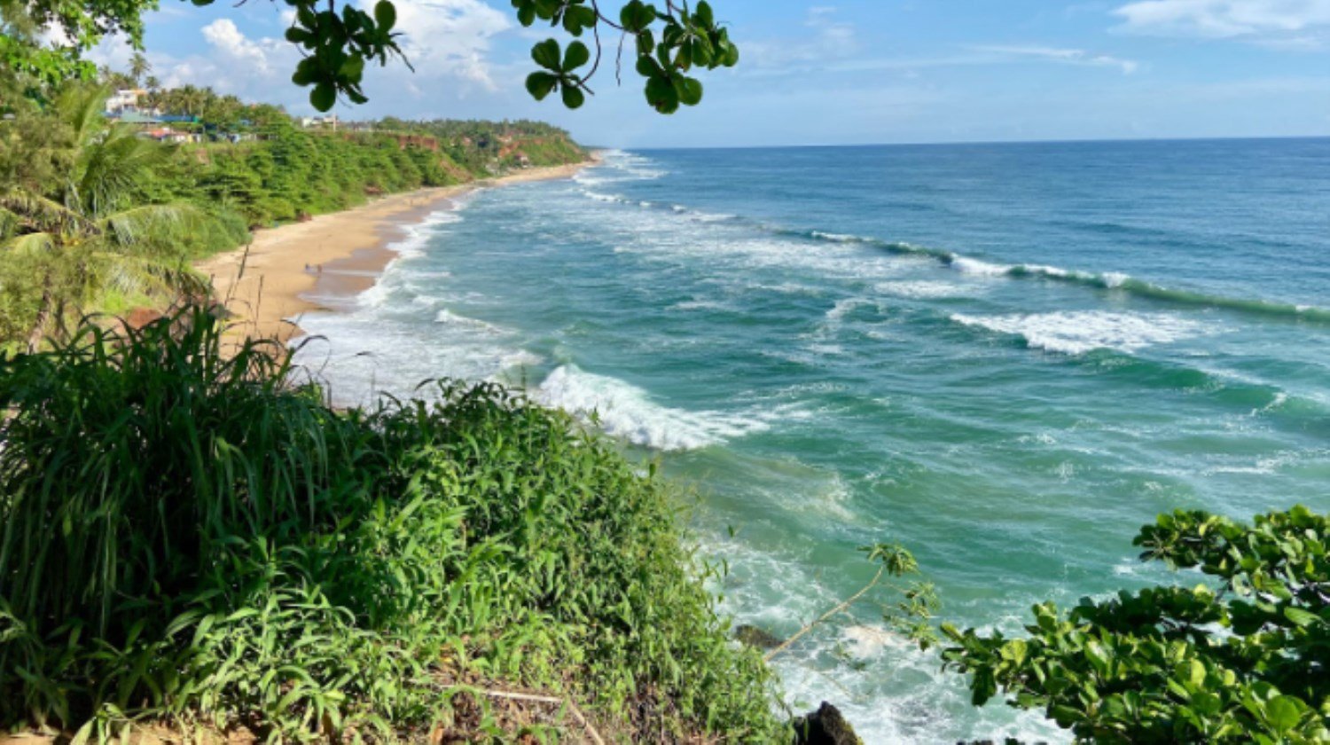 Tropical Beaches - Devvrat Yoga Sangh